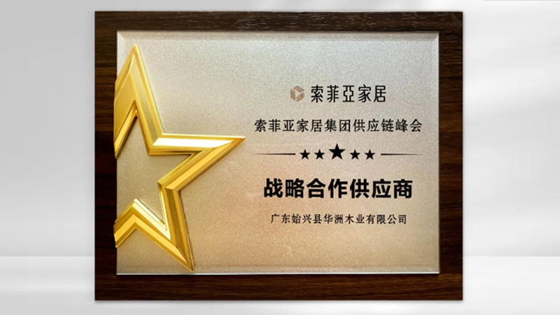 【品牌實力】華洲：創(chuàng)新引領(lǐng)，品質(zhì)鑄就傳奇(圖5)